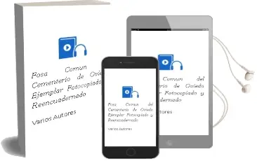 Descargar AudioLibro Fosa Comun del Cementerio de Oviedo (Ejemplar Fotocopiado y Reencuadernado) de Varios Autores año 1990