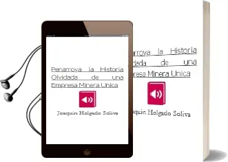Descargar AudioLibro Peñarroya la Historia Olvidada de una Empresa Minera Única de Joaquín Holgado Soliva año 1990
