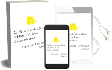 Descargar AudioLibro La Necropolis de la Edad del Hierro de Raso (Candeleda. Avila) de Fernando Fernandez Gomez año 1990