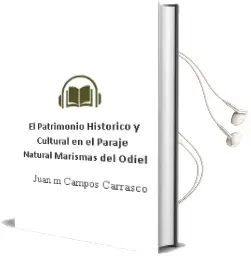 Descargar AudioLibro El Patrimonio Histórico y Cultural en el Paraje Natural Marismas del Odiel de Juan M. Campos Carrasco año 1990