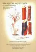 AudioLibro Sin Azucar no hay Pais: La Industria Azucarera y la Economia Cuba na (1919-1939) de Antonio Santamaria Garcia
