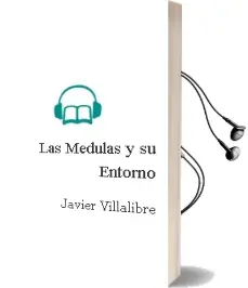 Descargar AudioLibro Las Medulas y su Entorno de Javier Villalibre año 2002