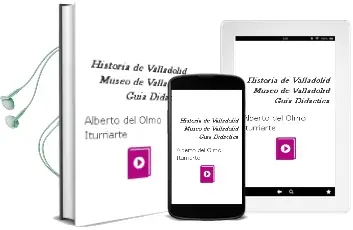 Descargar AudioLibro Historia de Valladolid: Museo de Valladolid (Guia Didactica) de Alberto Del Olmo Iturriarte año 2002