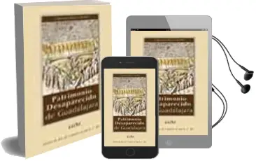 Descargar AudioLibro Patrimonio Desaparecido en Guadalajara de Jose Luis Garcia De Paz año 2003