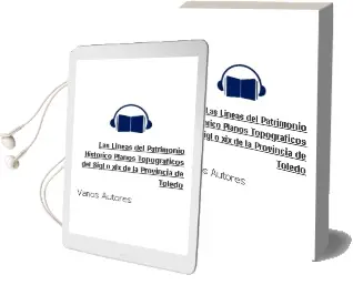 Descargar AudioLibro Las Lineas del Patrimonio Historico: Planos Topograficos del Sigl o xix de la Provincia de Toledo de Varios Autores año 2004