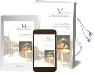 Descargar AudioLibro Metallum: La Mineria Suriberica de Juan Aurelio Perez Macias año 2004