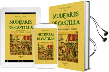 Descargar AudioLibro Estado Social y Politico de los Mudejares de Castilla (Ed. Facs. de la ed. Madrid 1866 Imprenta a Cargo de Joaquin Muñoz) de Francisco Fernandez Y Gonzalez año 2005