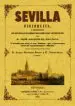 AudioLibro Sevilla Pintoresca o Descripcion de sus mas Celebres Monumentos a Rtisticos (Ed. Facsimil) de Jose Amador De Los Rios