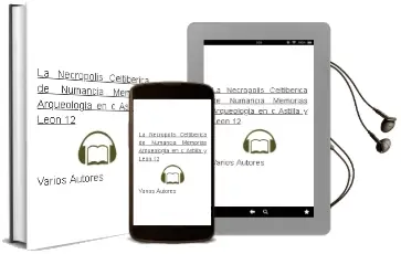 Descargar AudioLibro La Necropolis Celtiberica de Numancia (Memorias: Arqueologia en c Astilla y Leon, 12) de Varios Autores año 2005