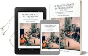 Descargar AudioLibro La Industria Textil en Pradoluengo 1534-2007: La Pervivencia de u n Nucleo Industrial de Juan Jose Martin Garcia año 2007