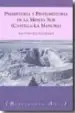 AudioLibro Prehistoria y Protohistoria de la Meseta sur (Castilla-La Mancha) de Juan (Coord.) Pereira Sieso