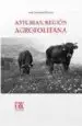 AudioLibro Asturias, Region Agropolitana: Las Relaciones Campo-Ciudad en la Sociedad Posindustrial de Jaime Izquierdo Vallina