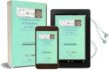 Descargar AudioLibro La Necropolis Occidental de Caesaraugusta en el Siglo iii (Calle Predicadores, 20-30, Zaragoza) de Maria Pilar Galve Izquierdo año 2009
