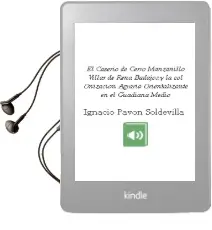 Descargar AudioLibro El Caserío de Cerro Manzanillo (Villar de Rena, Badajoz) y la col Onizacion Agraria Orientalizante en el Guadiana Medio de Ignacio Pavon Soldevilla año 2009