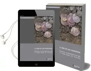 Descargar AudioLibro El oro de los Visigodos: Tesoros Numismaticos de la Vega Baja de Toledo de Rafael Caballero Garcia año 2010
