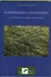 AudioLibro Os Petroglifos e o seu Contexto: Un Exemplo da Galicia Meridional de Ramon Fabregas Valcarce