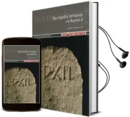 Descargar AudioLibro Necropolis Urbanas en Baetica de Desiderio Vaquerizo Gil año 2010