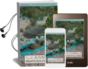 Descargar AudioLibro El Futuro de la Arqueologia en España de Jaime Almansa Sanchez año 2012