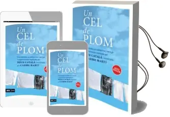 Descargar AudioLibro Un cel de Plom - Mini (Cat) de Carme Marti año 2013