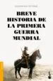 AudioLibro Breve Historia de la Primera Guerra Mundial de Norman Stone