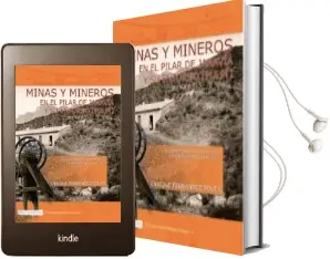 Descargar AudioLibro Minas y Mineros en el Pilar de Jaravía y su Entorno (Pulpí) de Enrique Fernandez Bolea año 2014