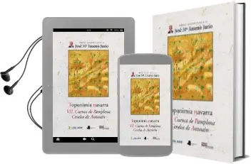 Descargar AudioLibro Toponimia Navarra Vii: Cuenca de Pamplona. Cendea de Antsoain de Jose Maria Jimeno Jurio año 2015