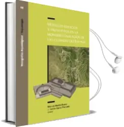 Descargar AudioLibro Modelos Edilicios y Prototipos en la Monumentalizacion de las ciu Dades de Hispan de Manuel Martin Bueno año 2015
