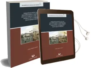 Descargar AudioLibro Arqueología de las Sociedades Campesinas en la Cuenca del Duero Durante la Primera Alta Edad Media de Carlos Tejerizo Garcia año 2018